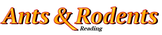 Reading Ant Exterminator & Rodent Control Company Logo